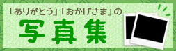写真集